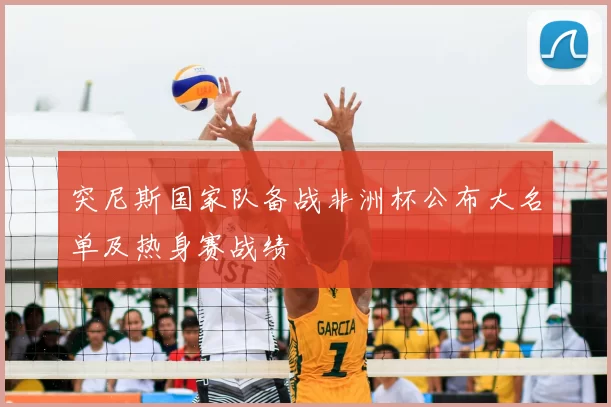 突尼斯国家队备战非洲杯公布大名单及热身赛战绩