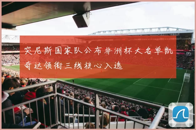 突尼斯国家队公布非洲杯大名单凯奇达领衔三线核心入选