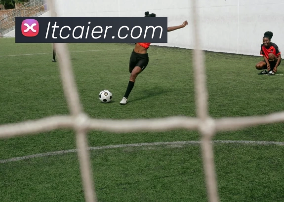 2018世界杯官网平台生态图